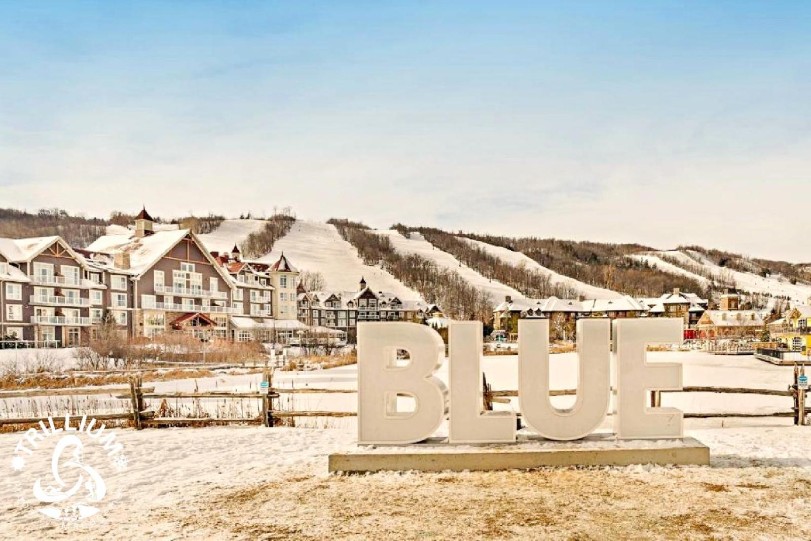 Blue Mountain, Collingwood - Loft Condo, Sleeps 4 Blue Mountains Bagian luar foto